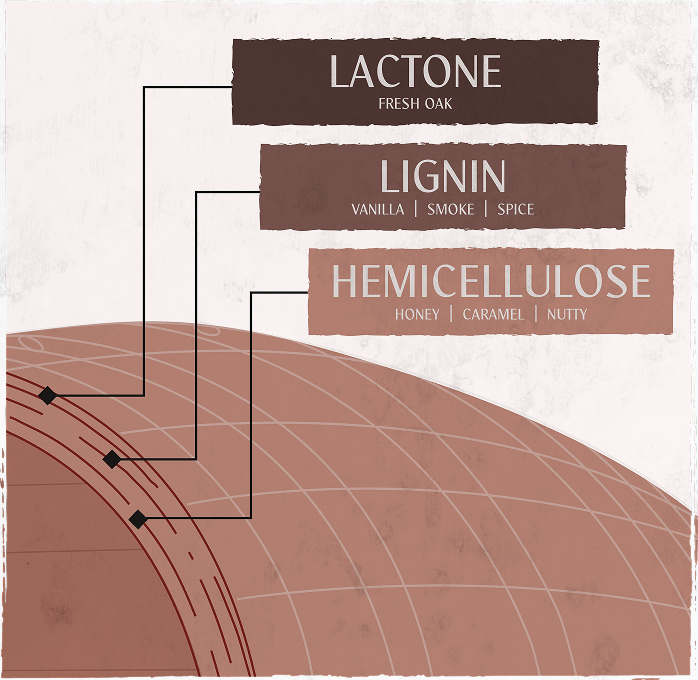 Oak is not just a single flavor, it is an orchestra of flavors derived predominantly from three complex organic compounds: Hemicellulose, Lignin and Lactone